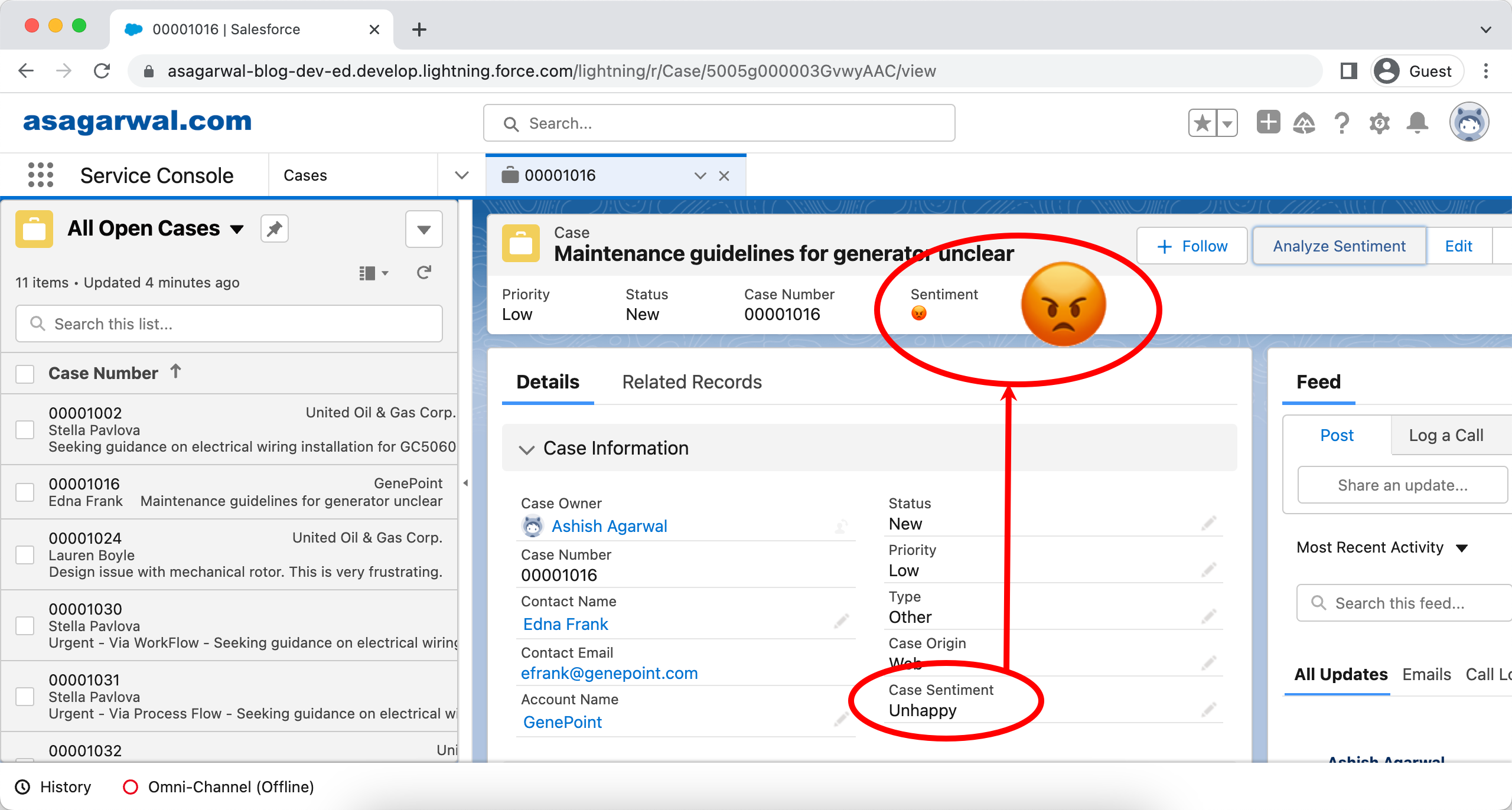 How to Detect the Sentiment of Your Customers on Cases in Salesforce